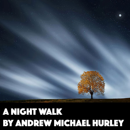 A Night Walk by Andrew Michael Hurley