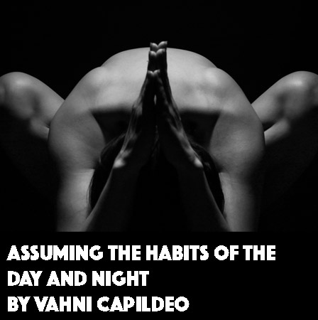 Assuming the Habits of the Day and Night by Vahni Capildeo