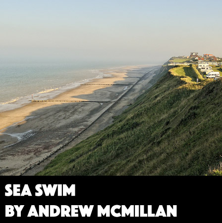 Sea Swim by Andrew McMillan