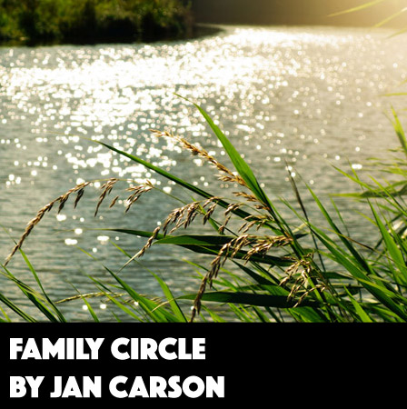 Family Circle by Jan Carson