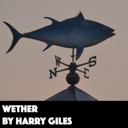 Wether by Harry Giles